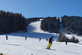 Ski Wellness 2020